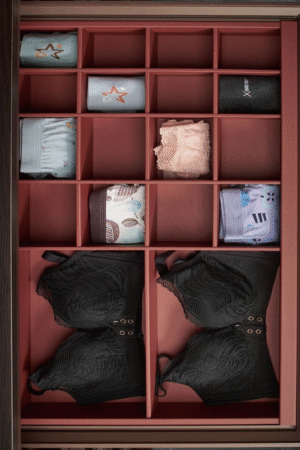 Underware Storage Box